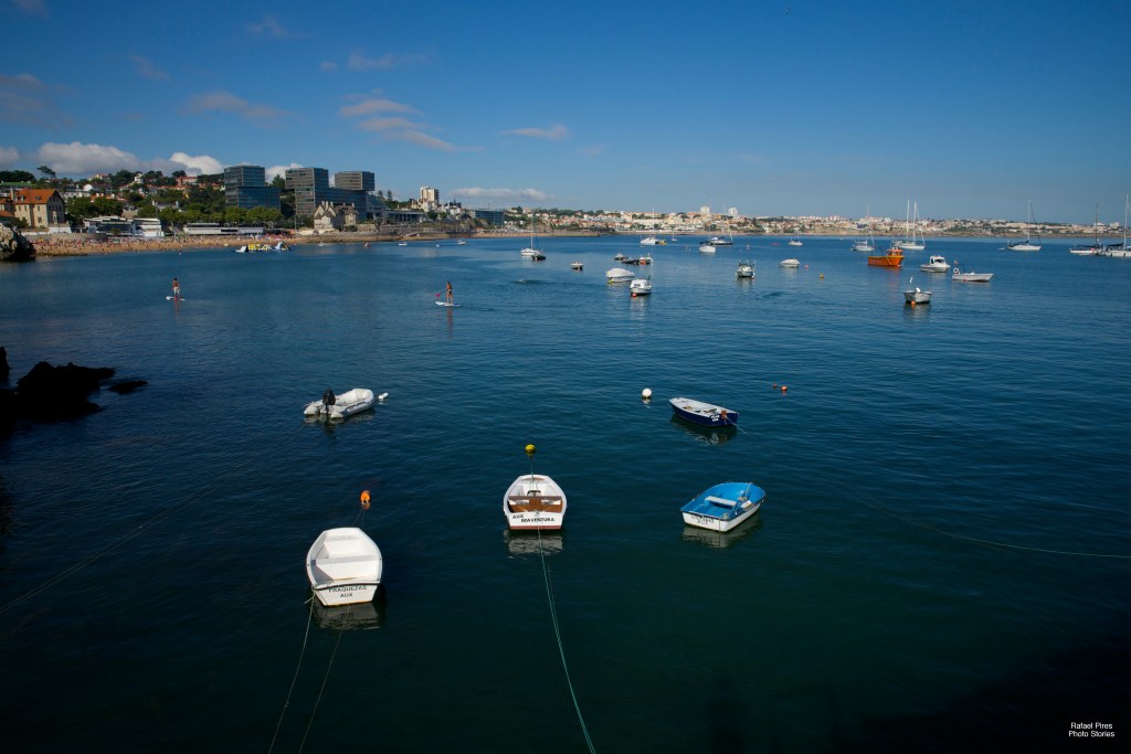 RedBull Flugtag Stage View